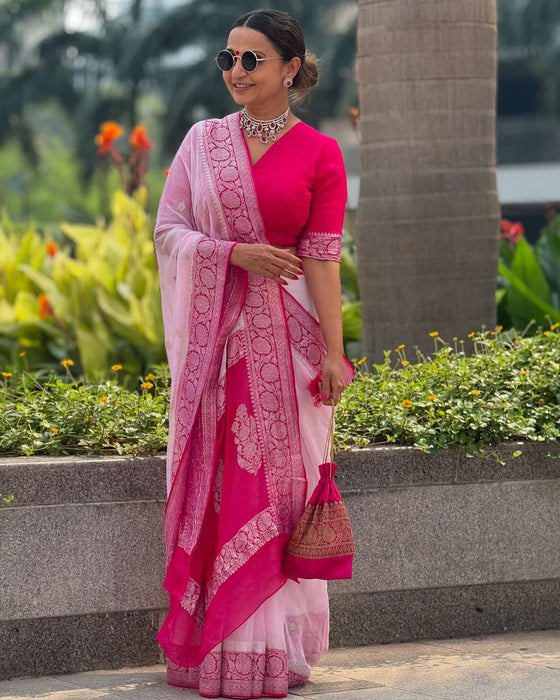 Pure Kadhwa Chiffon Georgette Banarasi Saree - Silver Zari