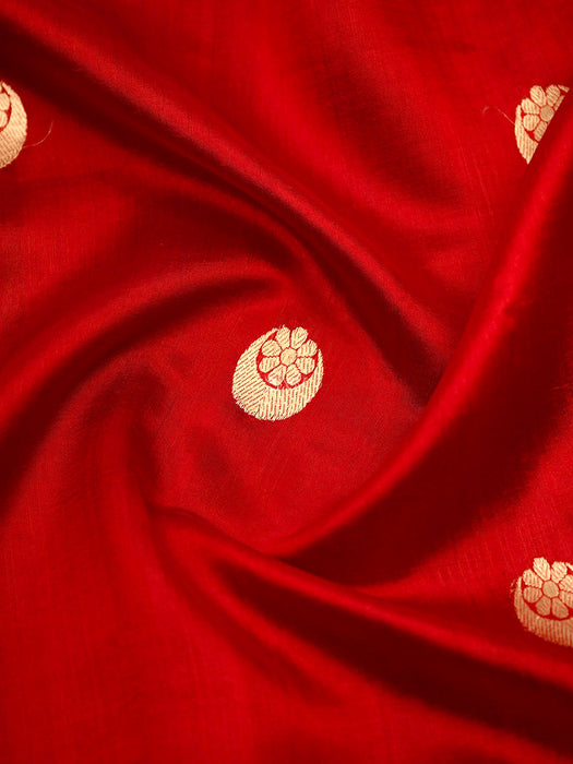 Sonakshi Sinha Red Pure Katan Silk Banarasi Handloom Saree - Kadhwa Motifs