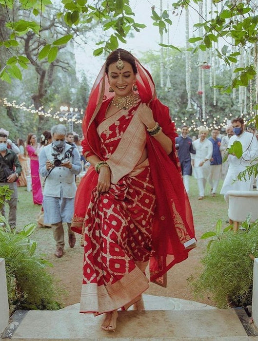 Dia Mirza Red Pure Katan Silk Banarasi Handloom Saree