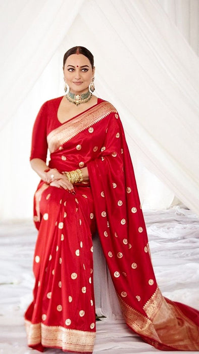 Sonakshi Sinha Red Pure Katan Silk Banarasi Handloom Saree - Kadhwa Motifs
