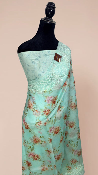 Cloudy Blue Pure Organza Banarasi Handloom Saree - Chikankari with Digital Print