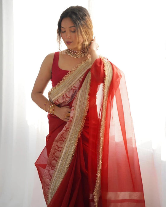 Red Pure Banarasi Tissue Handloom Saree - Designer Reshmi Zari