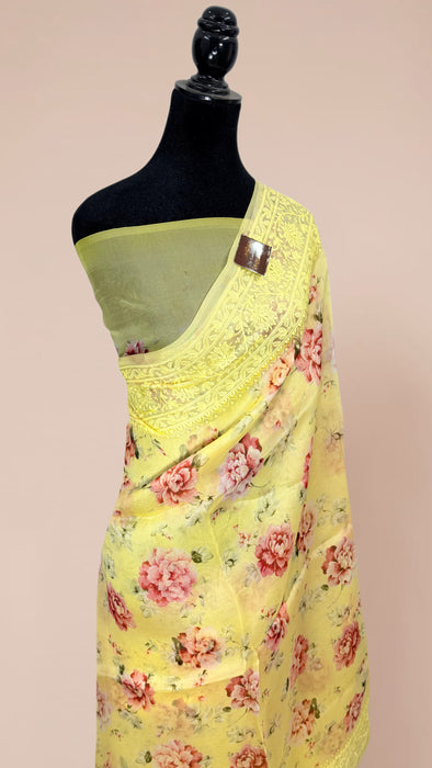 Pure Organza Banarasi Handloom Saree - Chikankari with Digital Print
