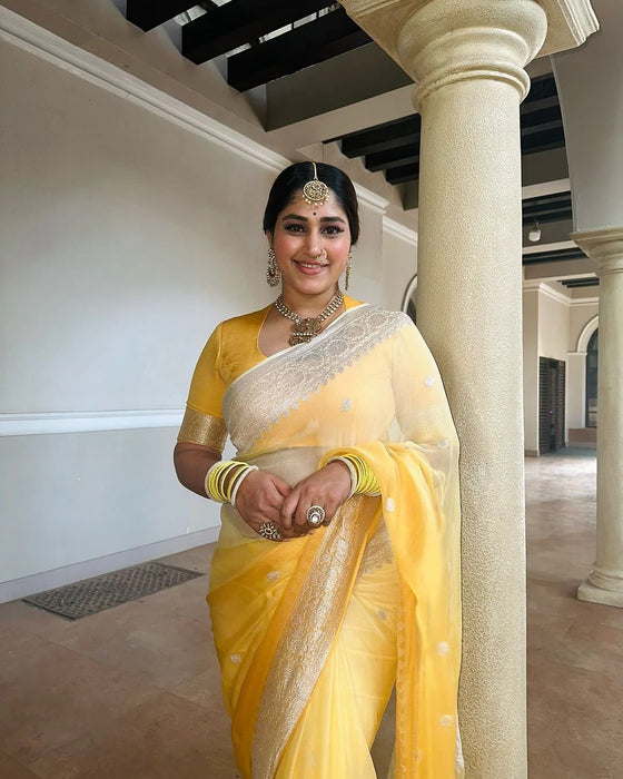 Pure Kadhwa Chiffon Georgette Banarasi Saree - Silver Zari