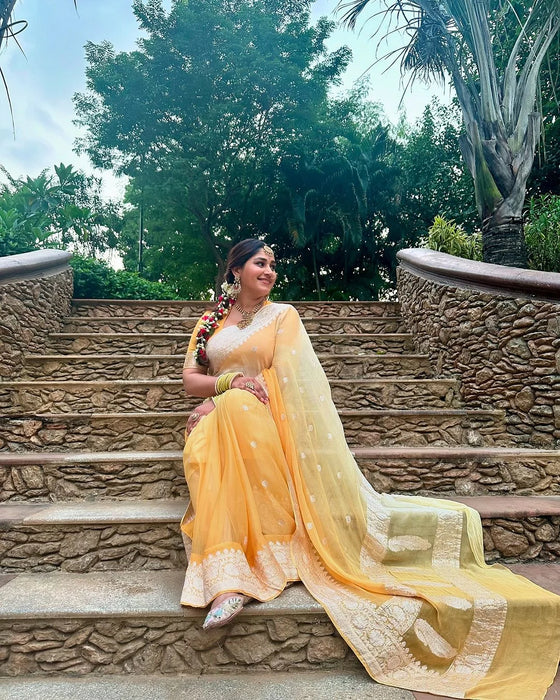 Pure Kadhwa Chiffon Georgette Banarasi Saree - Silver Zari