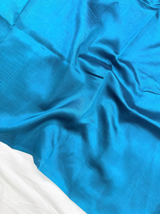 Blue Pure Raw Mango Banarasi Handloom Saree