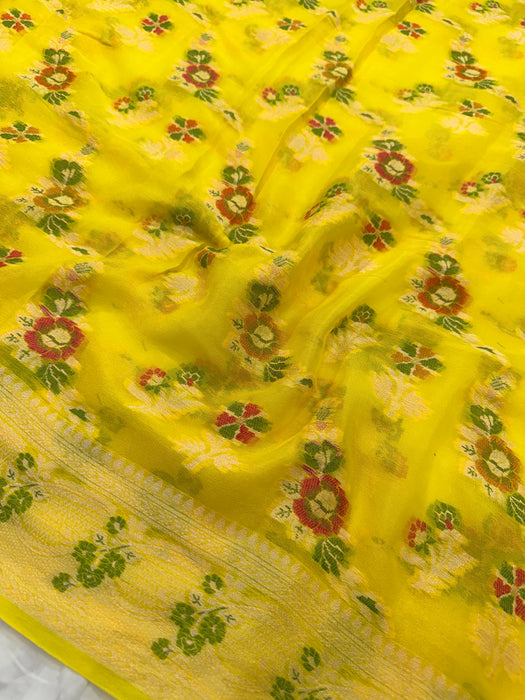 Hazel Yellow Pure Khaddi Chiffon Banarasi Saree