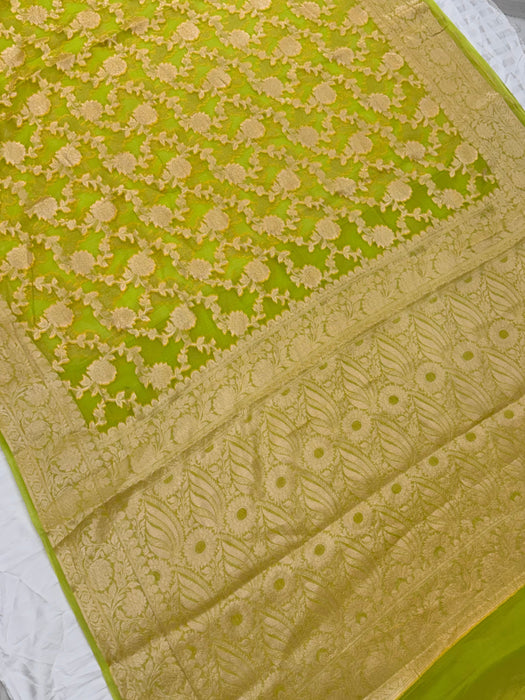 Pista Pure Khaddi Chiffon Banarasi Saree