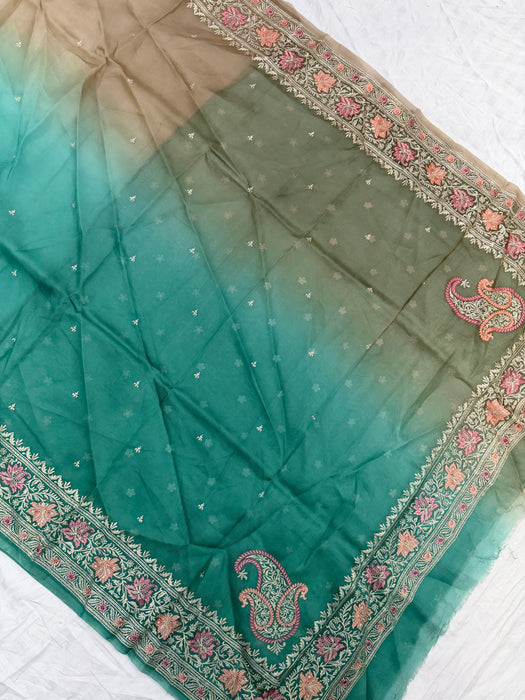 Shaded Pure Organza Banarasi Handloom Saree - Chikankari