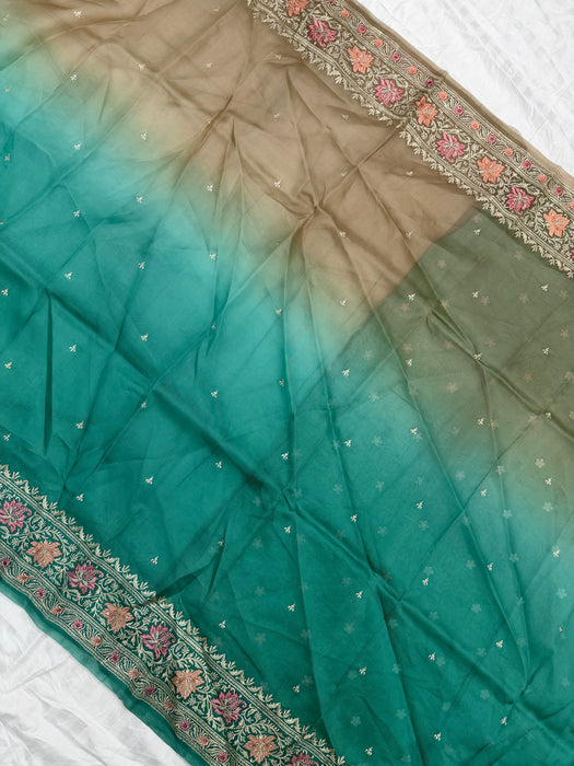 Shaded Pure Organza Banarasi Handloom Saree - Chikankari