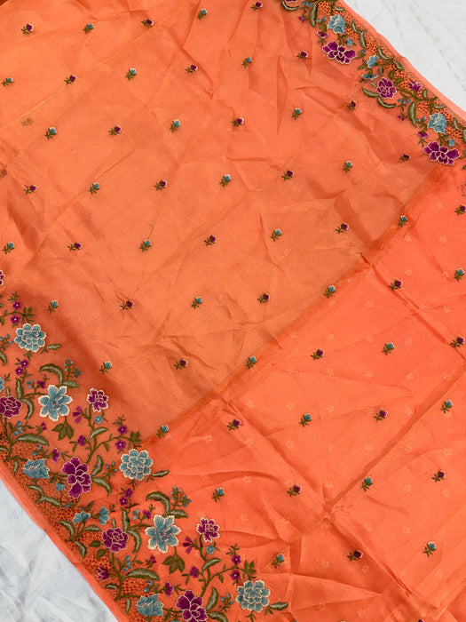 Pure Tissue Banarasi Handloom Saree - Chikankari