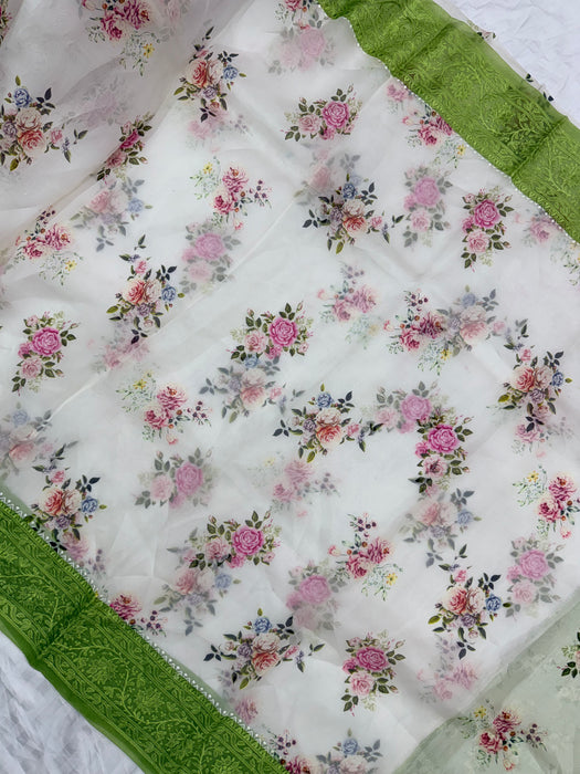 Offwhite and Green Pure Organza Banarasi Handloom Saree - Chikankari with Digital Print