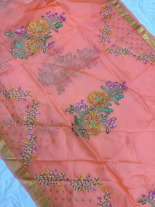 Pure Organza Banarasi Handloom Saree - Chikankari