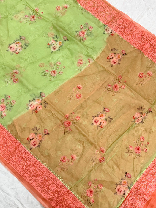 Pista Pure Organza Banarasi Handloom Saree - Chikankari with Digital Print
