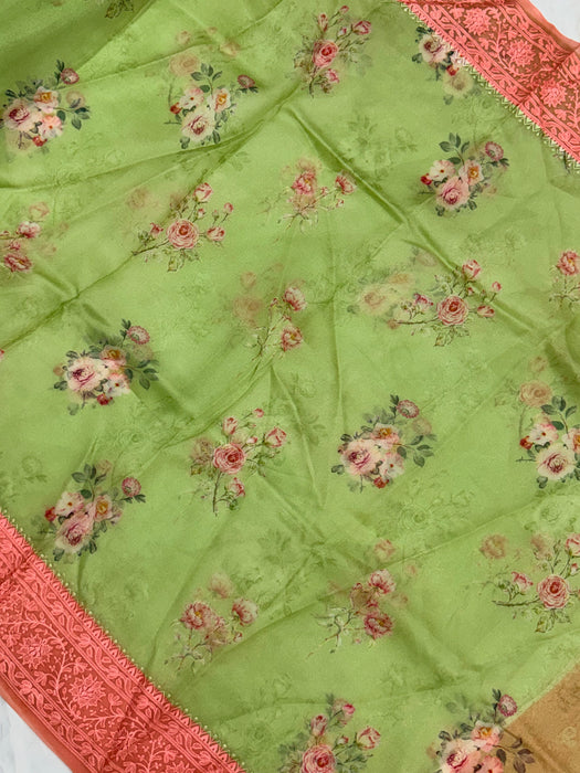 Pista Pure Organza Banarasi Handloom Saree - Chikankari with Digital Print