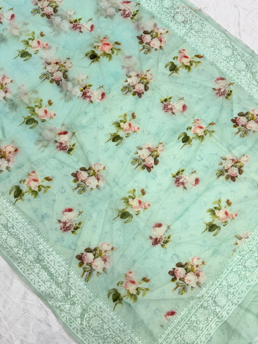 Cloudy Blue Pure Organza Banarasi Handloom Saree - Chikankari with Digital Print