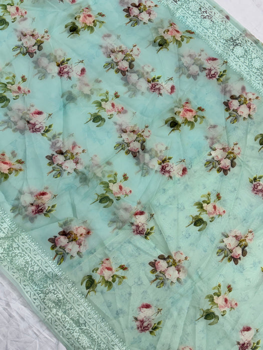 Cloudy Blue Pure Organza Banarasi Handloom Saree - Chikankari with Digital Print