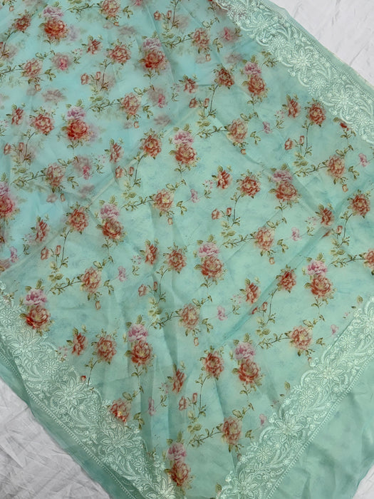 Cloudy Blue Pure Organza Banarasi Handloom Saree - Chikankari with Digital Print