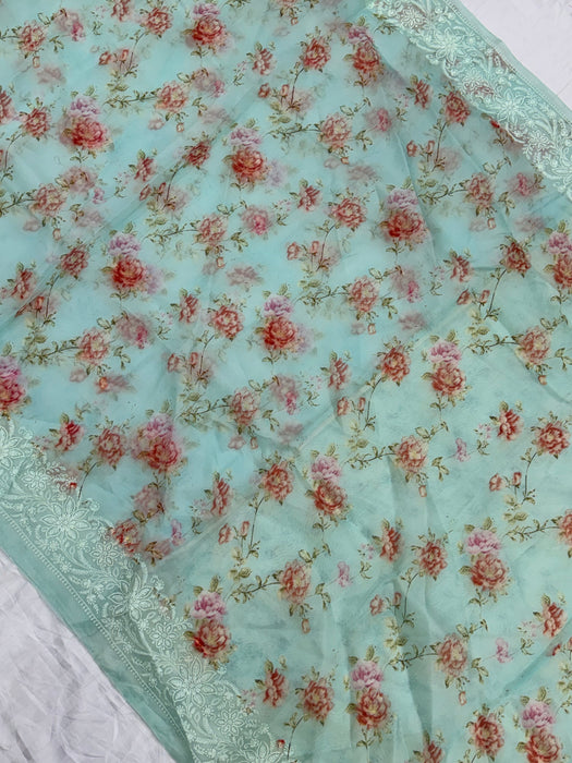 Cloudy Blue Pure Organza Banarasi Handloom Saree - Chikankari with Digital Print