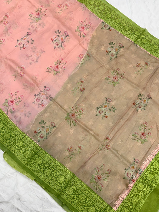 Pure Organza Banarasi Handloom Saree - Chikankari with Digital Print