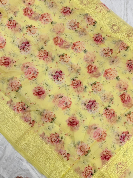 Pure Organza Banarasi Handloom Saree - Chikankari with Digital Print