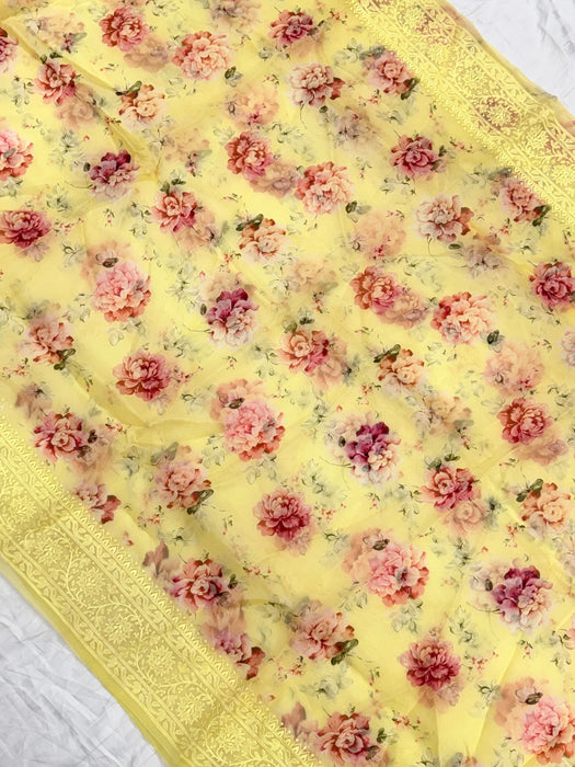 Pure Organza Banarasi Handloom Saree - Chikankari with Digital Print