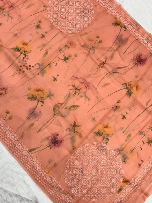 Pure Organza Banarasi Handloom Saree - Chikankari with Digital Print