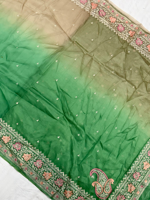 Shaded Pure Organza Banarasi Handloom Saree - Chikankari