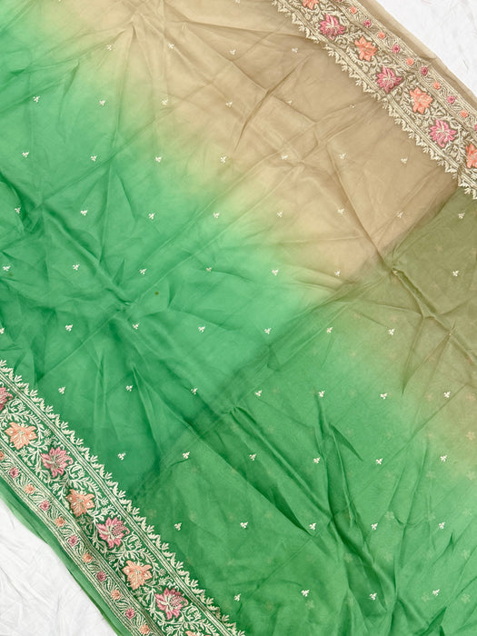 Shaded Pure Organza Banarasi Handloom Saree - Chikankari