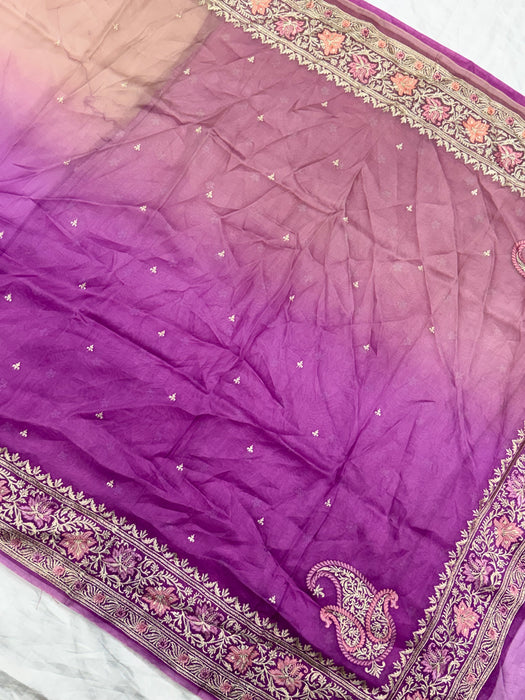 Shaded Pure Organza Banarasi Handloom Saree - Chikankari