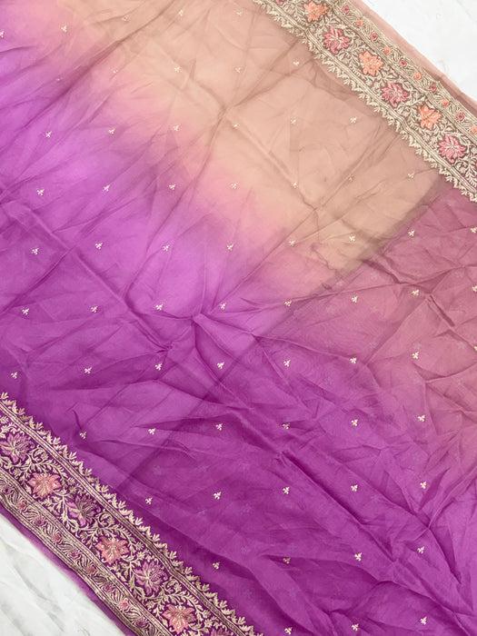 Shaded Pure Organza Banarasi Handloom Saree - Chikankari