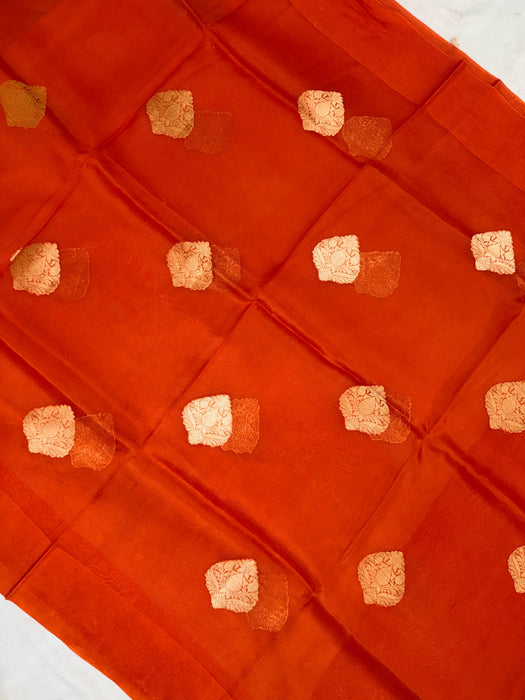 Italian Orange Pure Kora Organza Banarasi Handloom Saree