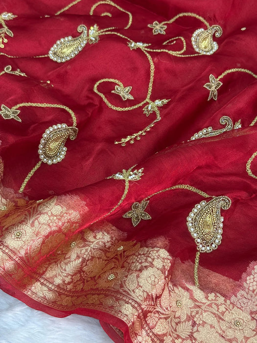 Red Pure Banarasi Tissue Handloom Saree - Handwork Jaal