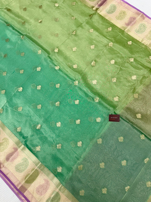Pure Banarasi Tissue Handloom Saree - Hand filled Meenakari