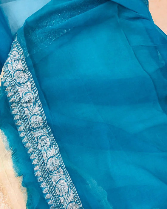 Blue & Cream Pure Kadhwa Chiffon Georgette Banarasi Saree - Silver Zari