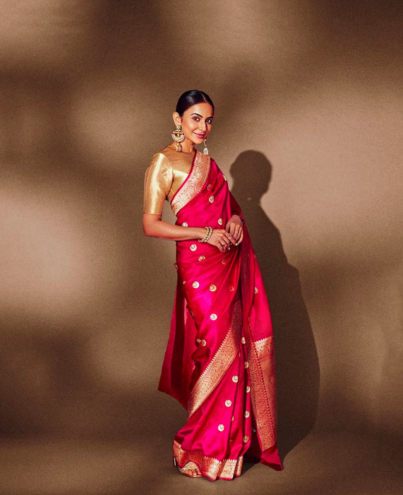 Rakul Preet Rani Pure Katan Silk Banarasi Handloom Saree